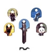 Immagine di CHIAVE ART KEY UNIVERSAL 5 SP DX PIC